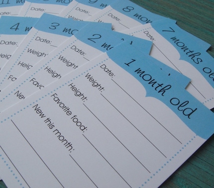 Month by Month Baby Tags - Set of 12 - BLUE