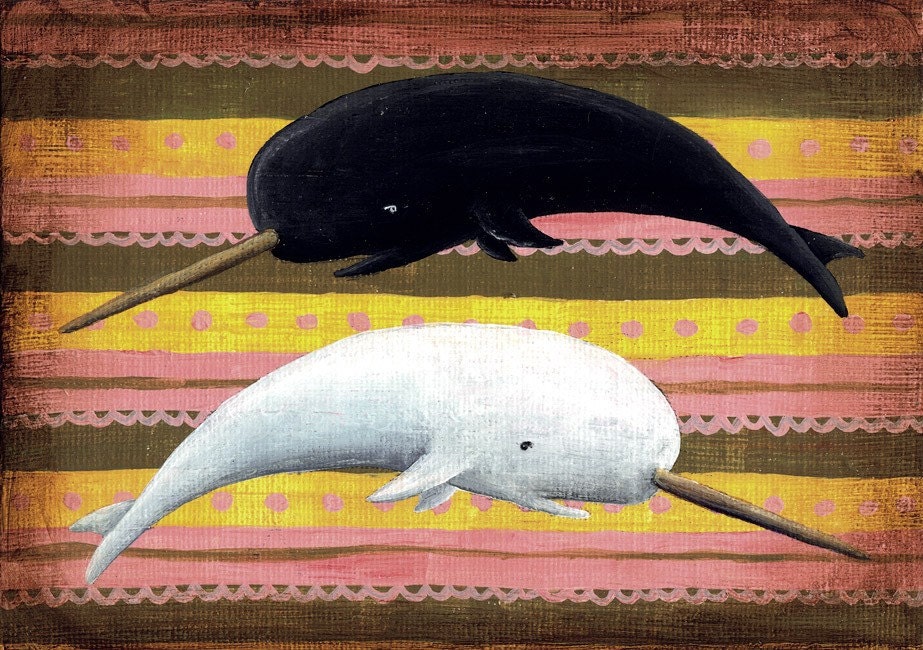 two narwhals